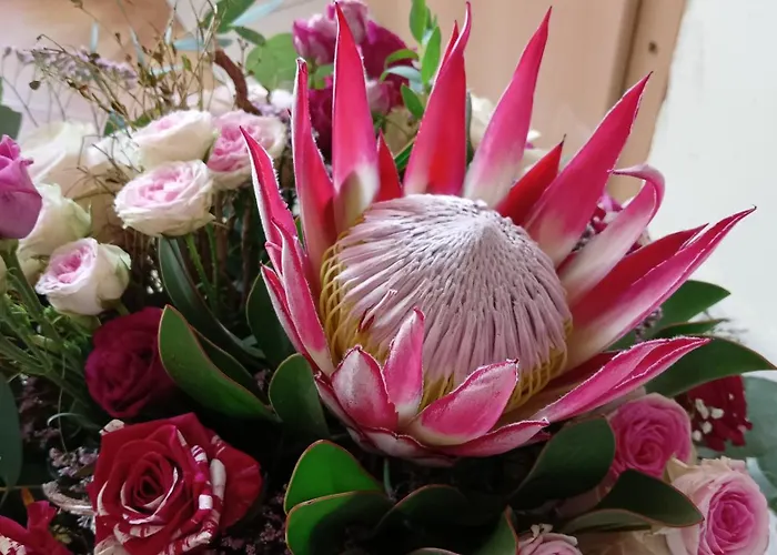 Stellas Monteurswohnungen